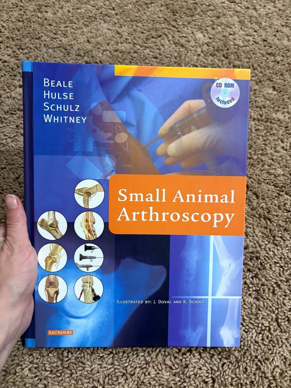 Small Animal Arthroscopy Beale Hulse Schulz Whitney Vet Surgery